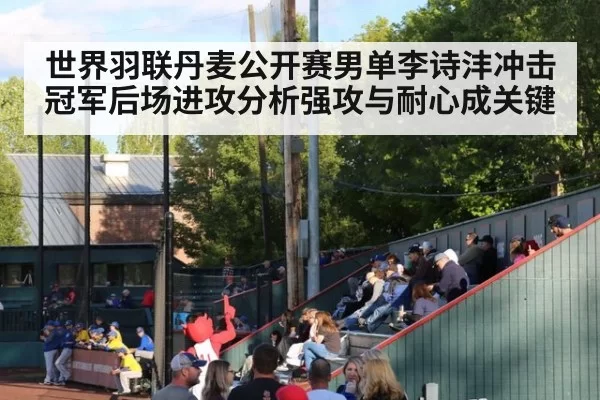 世界羽联丹麦公开赛男单李诗沣冲击冠军后场进攻分析强攻与耐心成关键